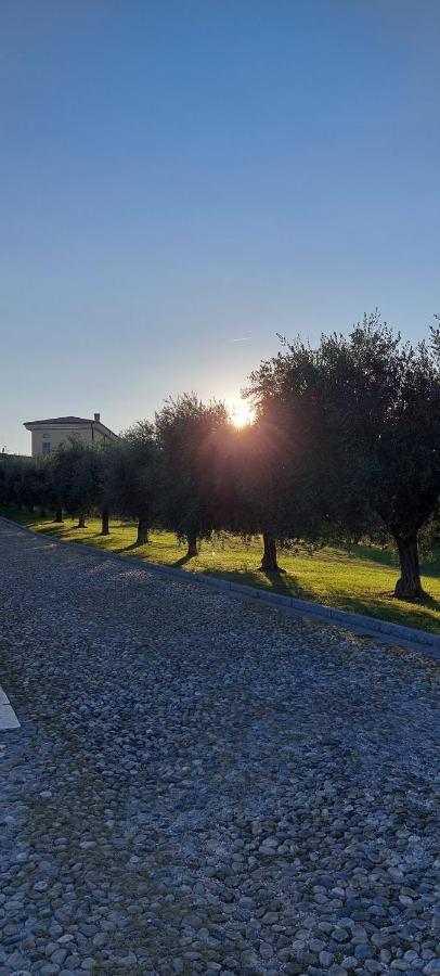 Apartamento Antica Dimora San Felice del Benaco Exterior foto